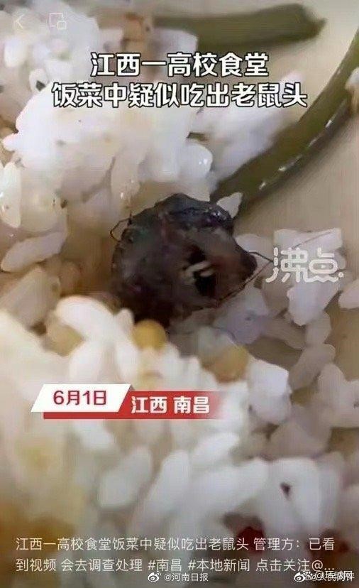 鼠头.jpg